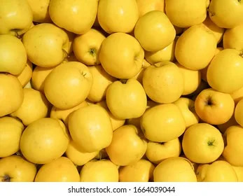 تصویر 4 از سیب آبدار تازه با بریکس بالا مناسب آبمیوه گیری صنعتی